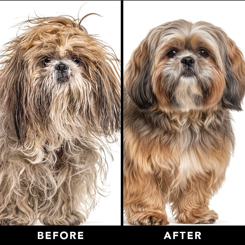 PRIDE + GROOM THE FINAL COAT Dog Conditioner