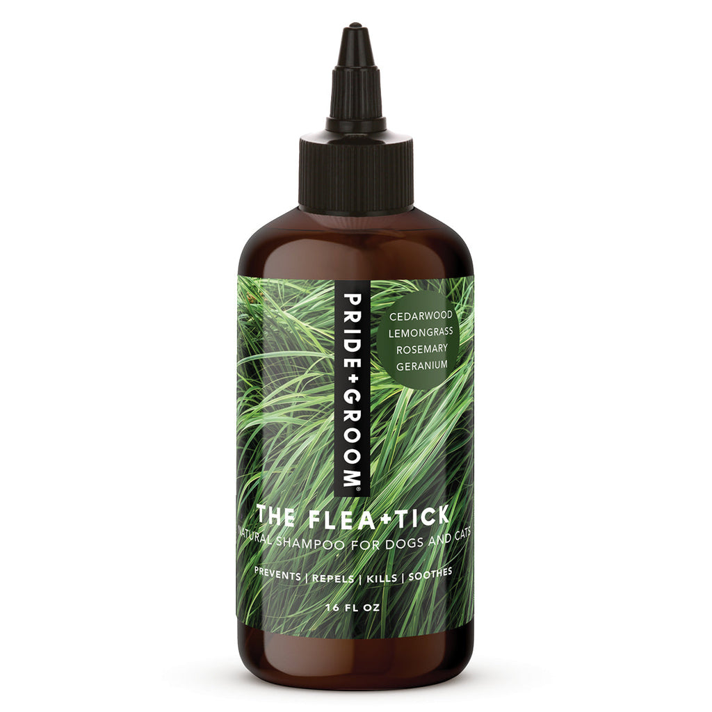 PRIDE + GROOM FLEA + TICK SHAMPOO