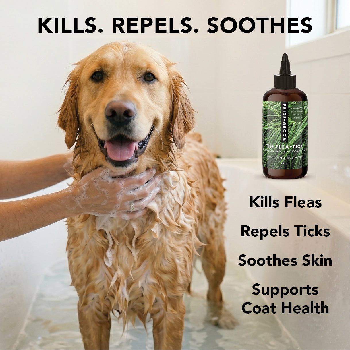 PRIDE + GROOM FLEA + TICK SHAMPOO