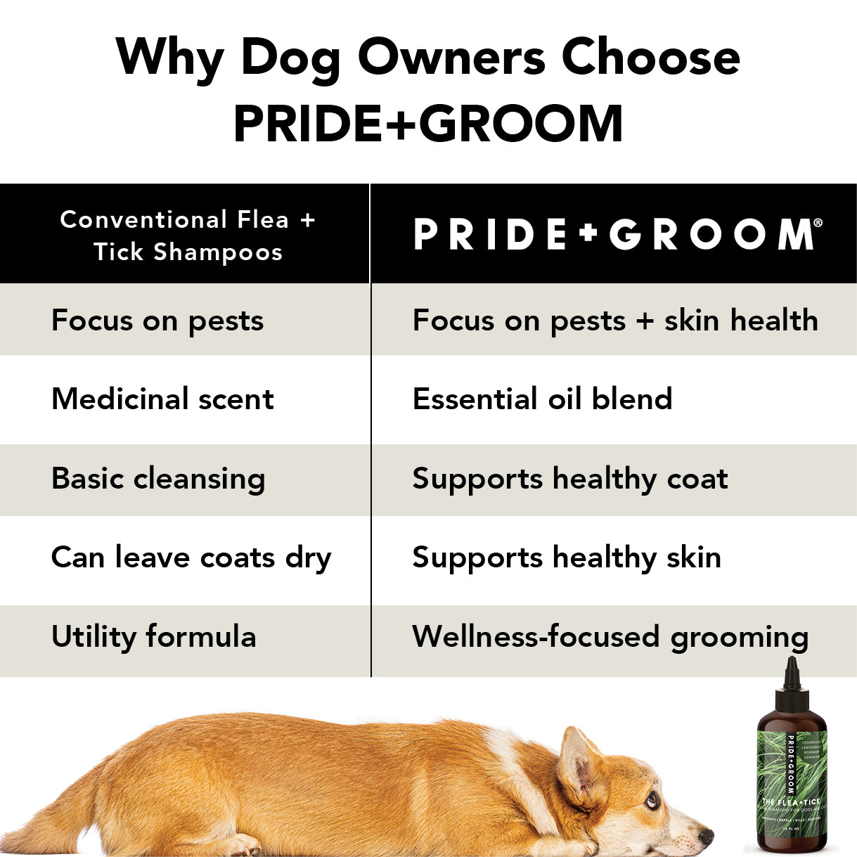 PRIDE + GROOM FLEA + TICK SHAMPOO