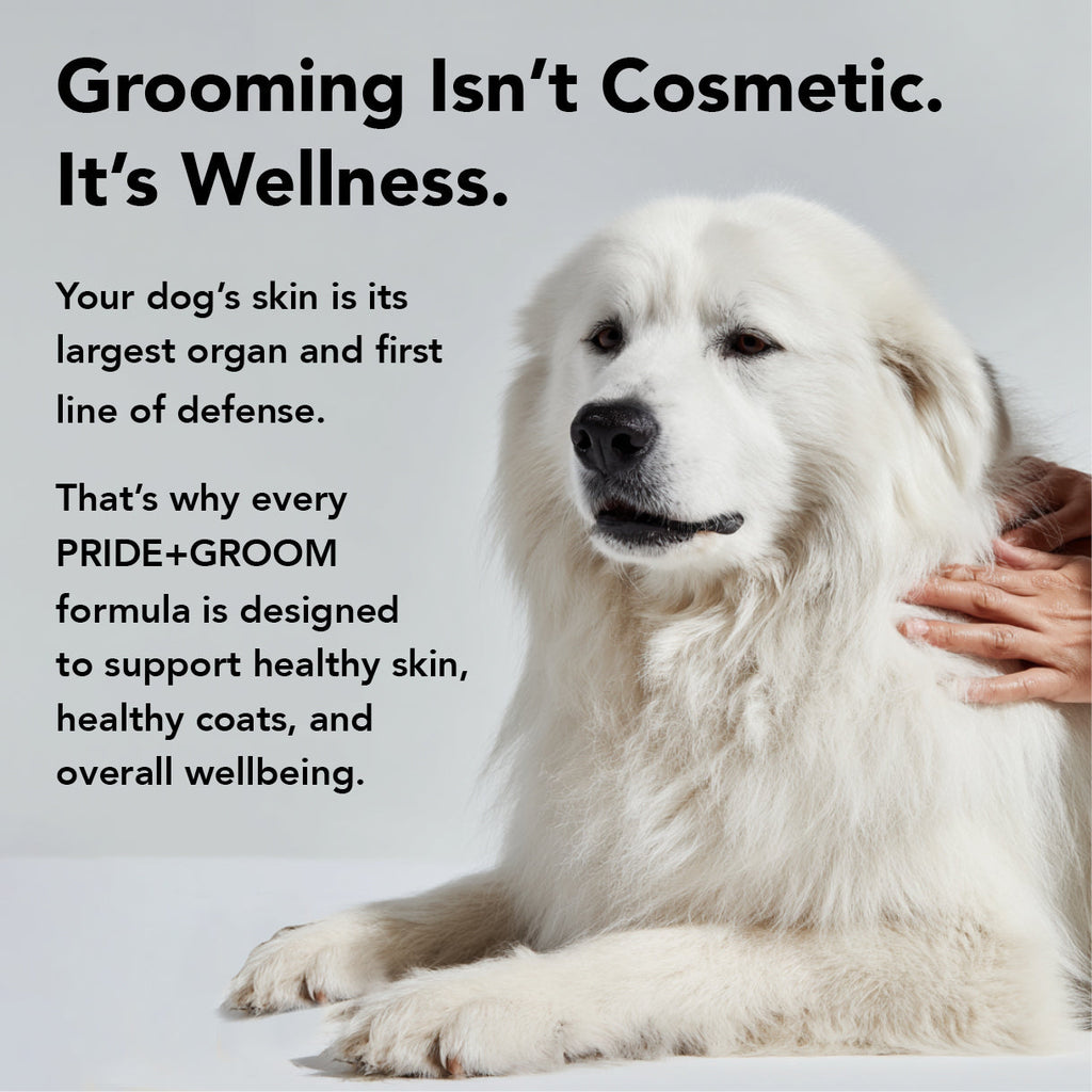 PRIDE + GROOM FLEA + TICK SHAMPOO
