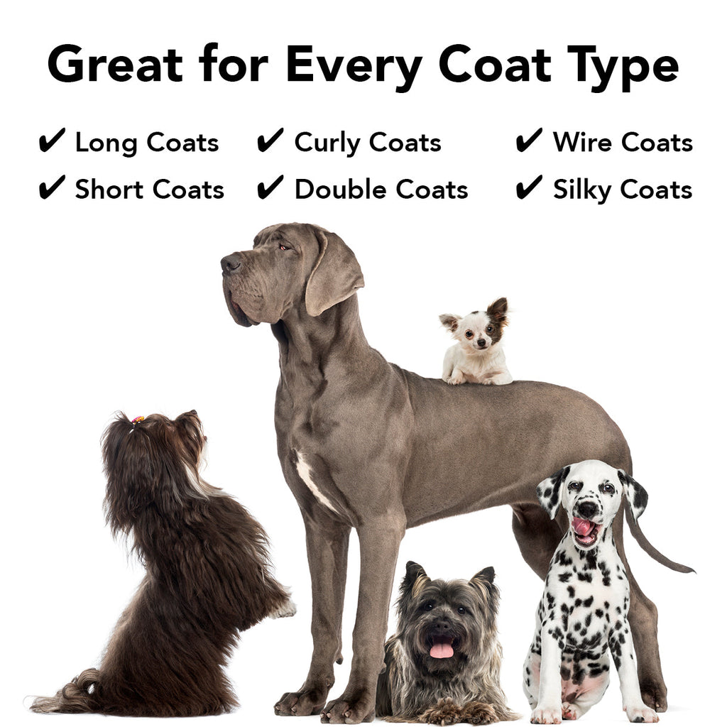 PRIDE + GROOM FLEA + TICK SHAMPOO