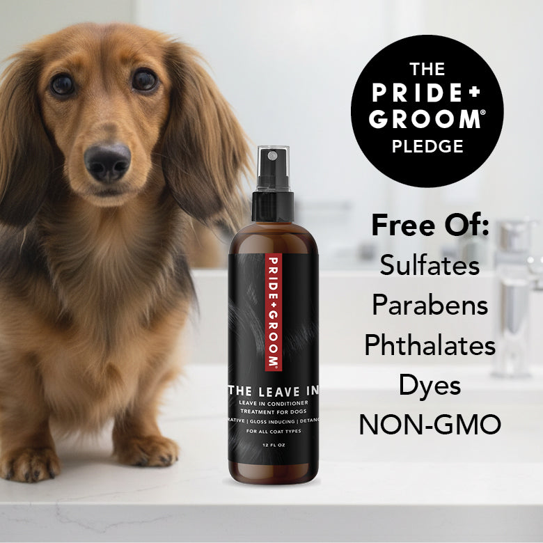 PRIDE + GROOM THE LEAVE IN