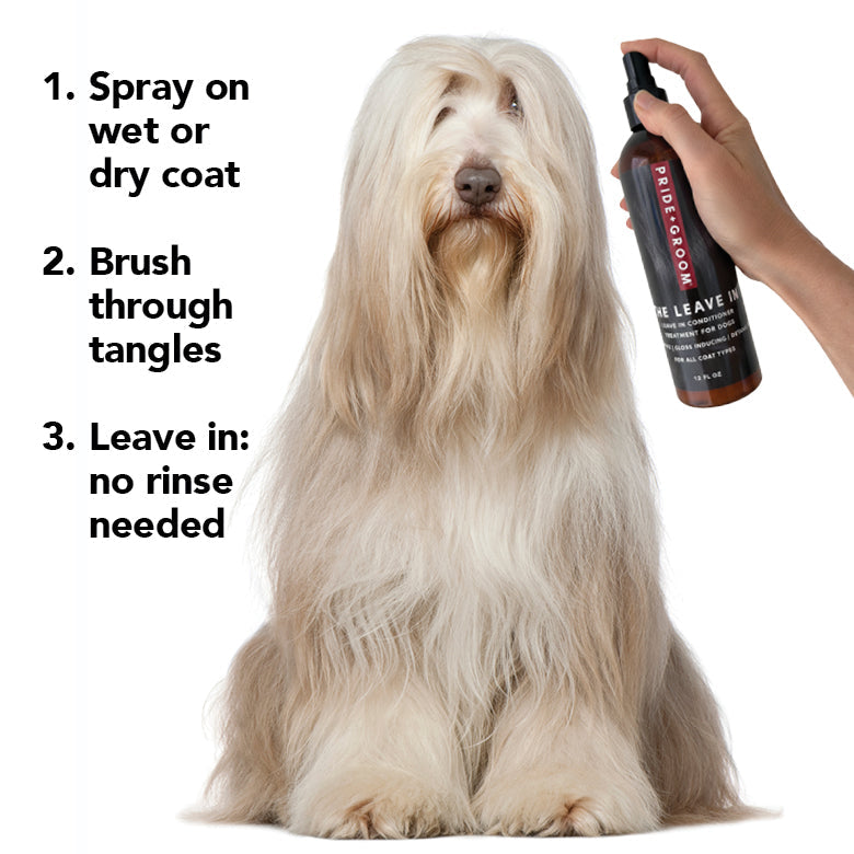 PRIDE + GROOM THE LEAVE IN