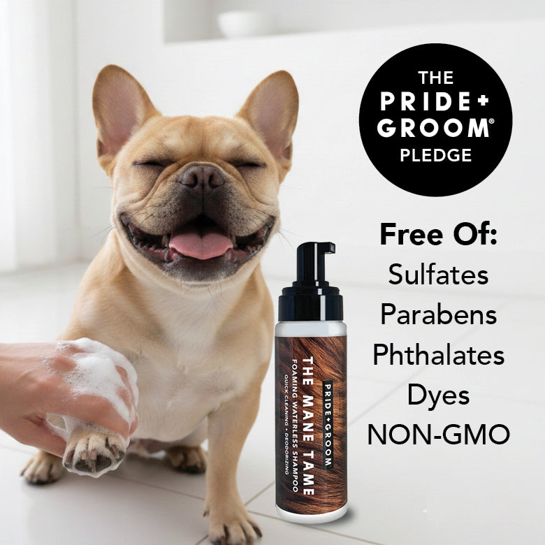 PRIDE + GROOM THE MANE TAME Waterless Shampoo