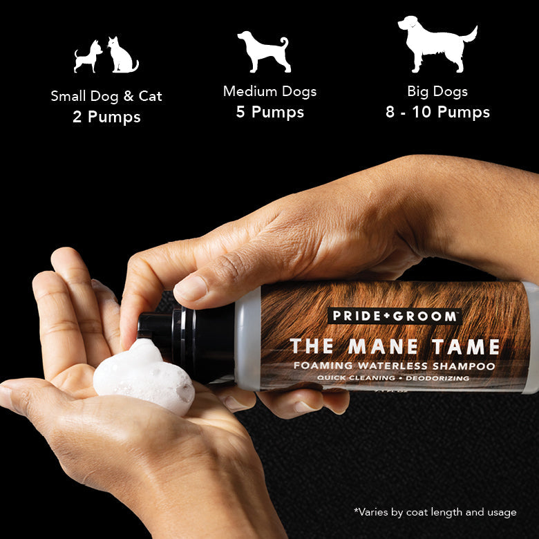 PRIDE + GROOM THE MANE TAME Waterless Shampoo