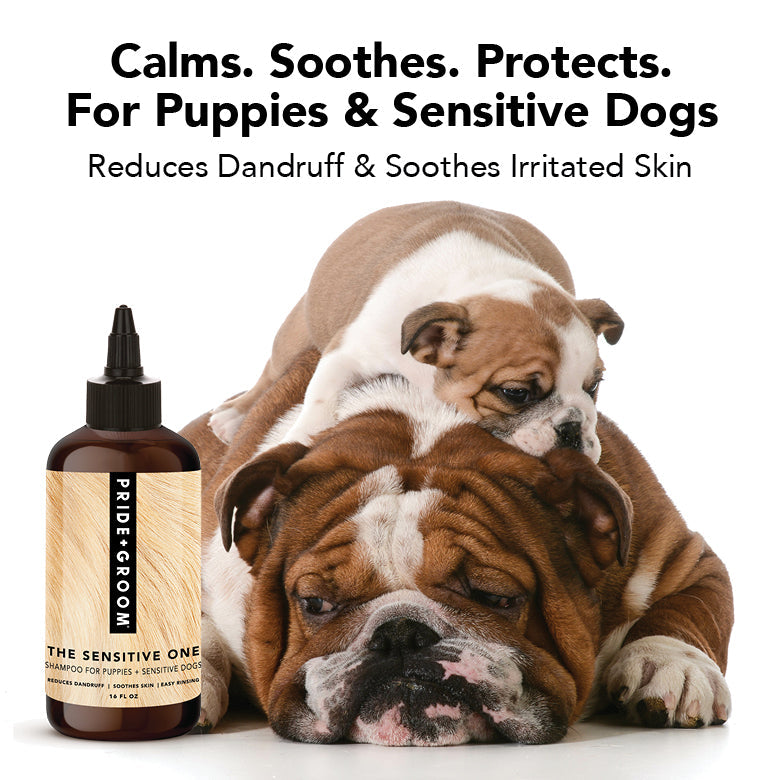 PRIDE + GROOM THE SENSITIVE ONE Dog Shampoo