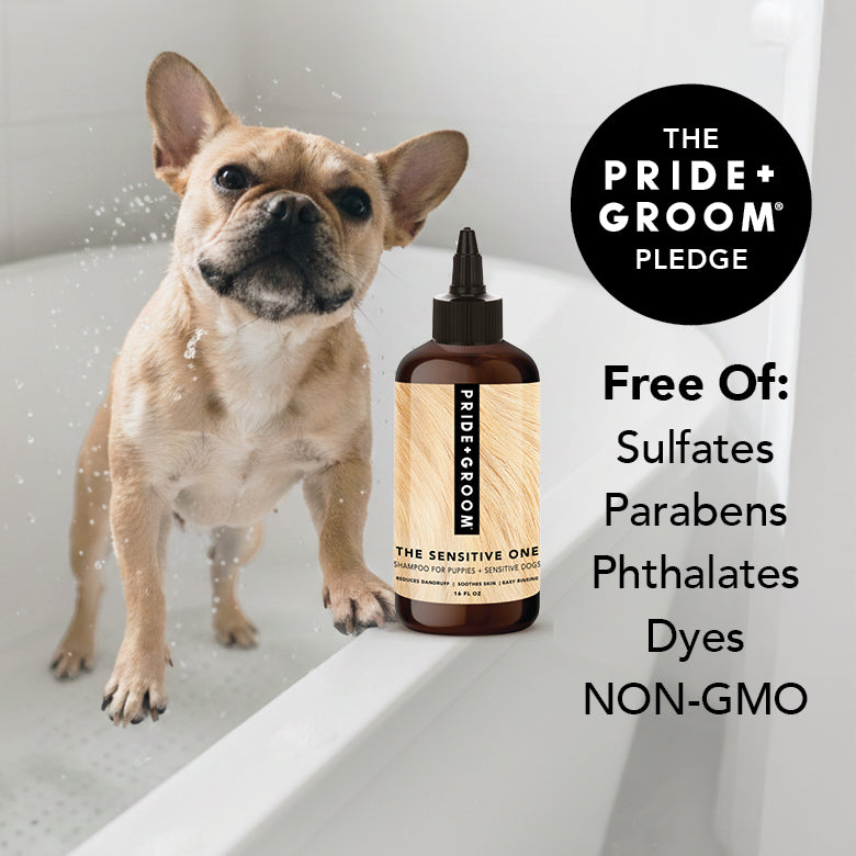 PRIDE + GROOM THE SENSITIVE ONE Dog Shampoo