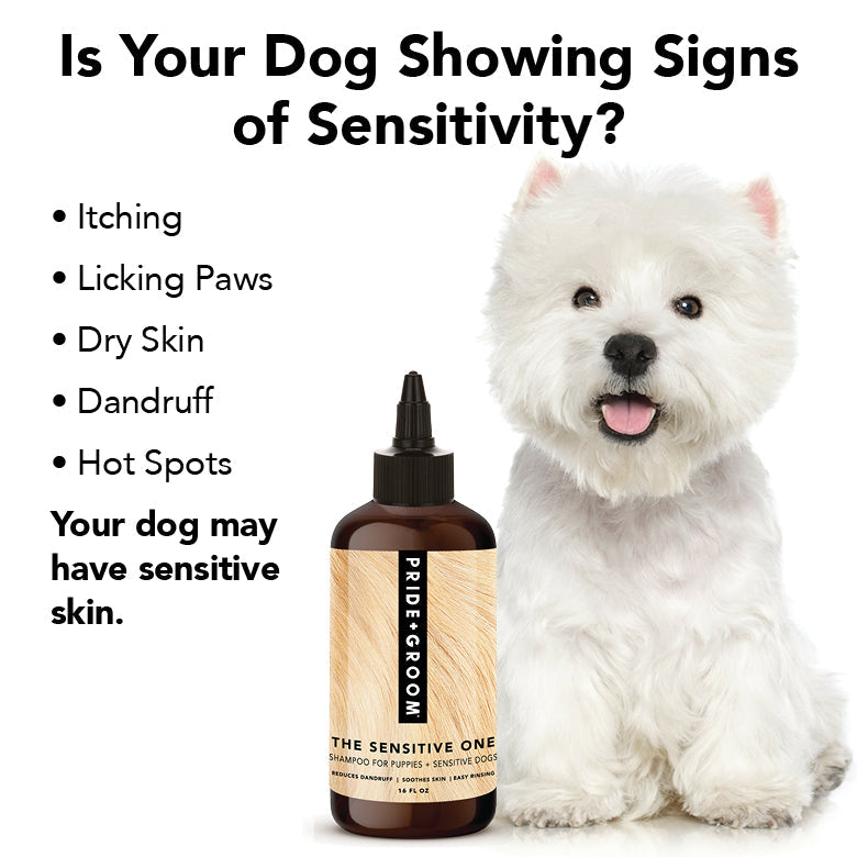PRIDE + GROOM THE SENSITIVE ONE Dog Shampoo