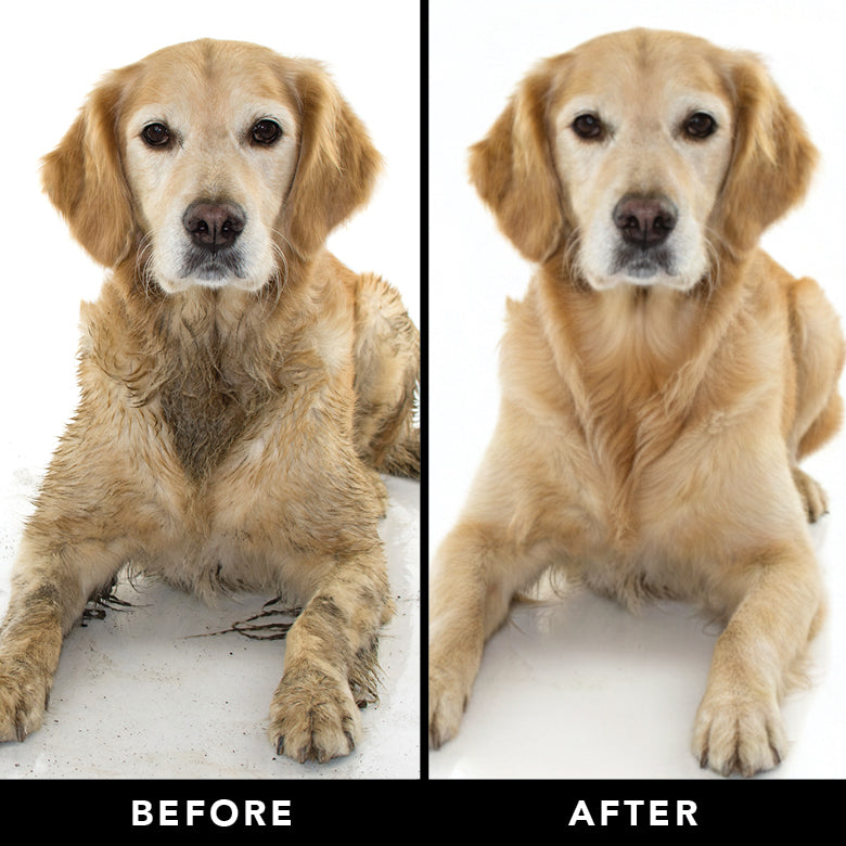 PRIDE + GROOM THE SENSITIVE ONE Dog Shampoo