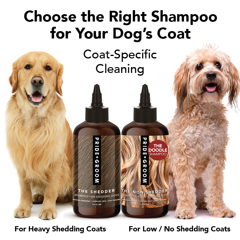 PRIDE + GROOM THE SHEDDER Dog Shampoo