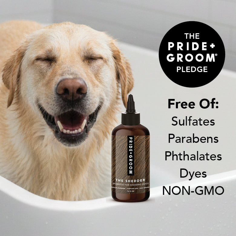 PRIDE + GROOM THE SHEDDER Dog Shampoo