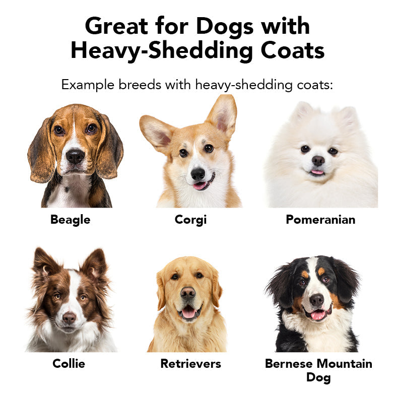PRIDE + GROOM THE SHEDDER Dog Shampoo