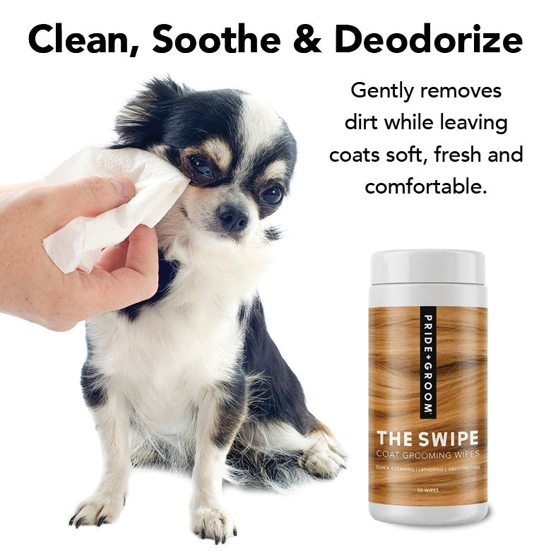 PRIDE + GROOM The Swipe Pet Wipes