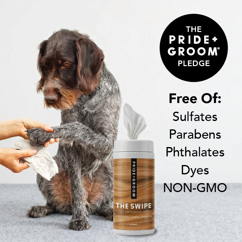PRIDE + GROOM The Swipe Pet Wipes
