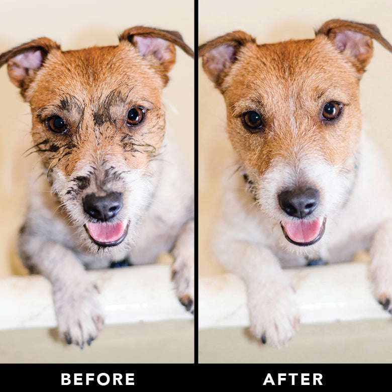 PRIDE + GROOM The Swipe Pet Wipes