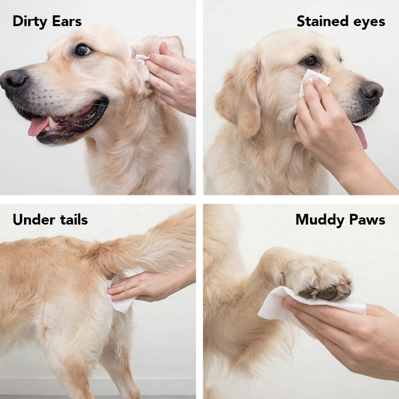PRIDE + GROOM The Swipe Pet Wipes