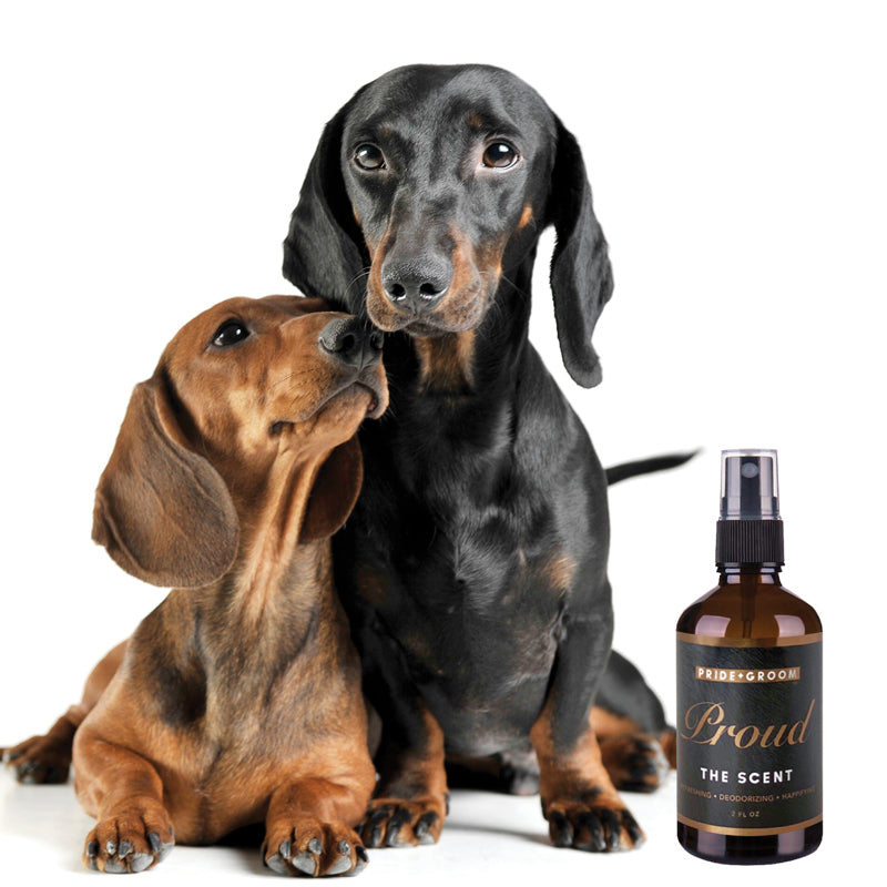PRIDE + GROOM PROUD Signature Scent