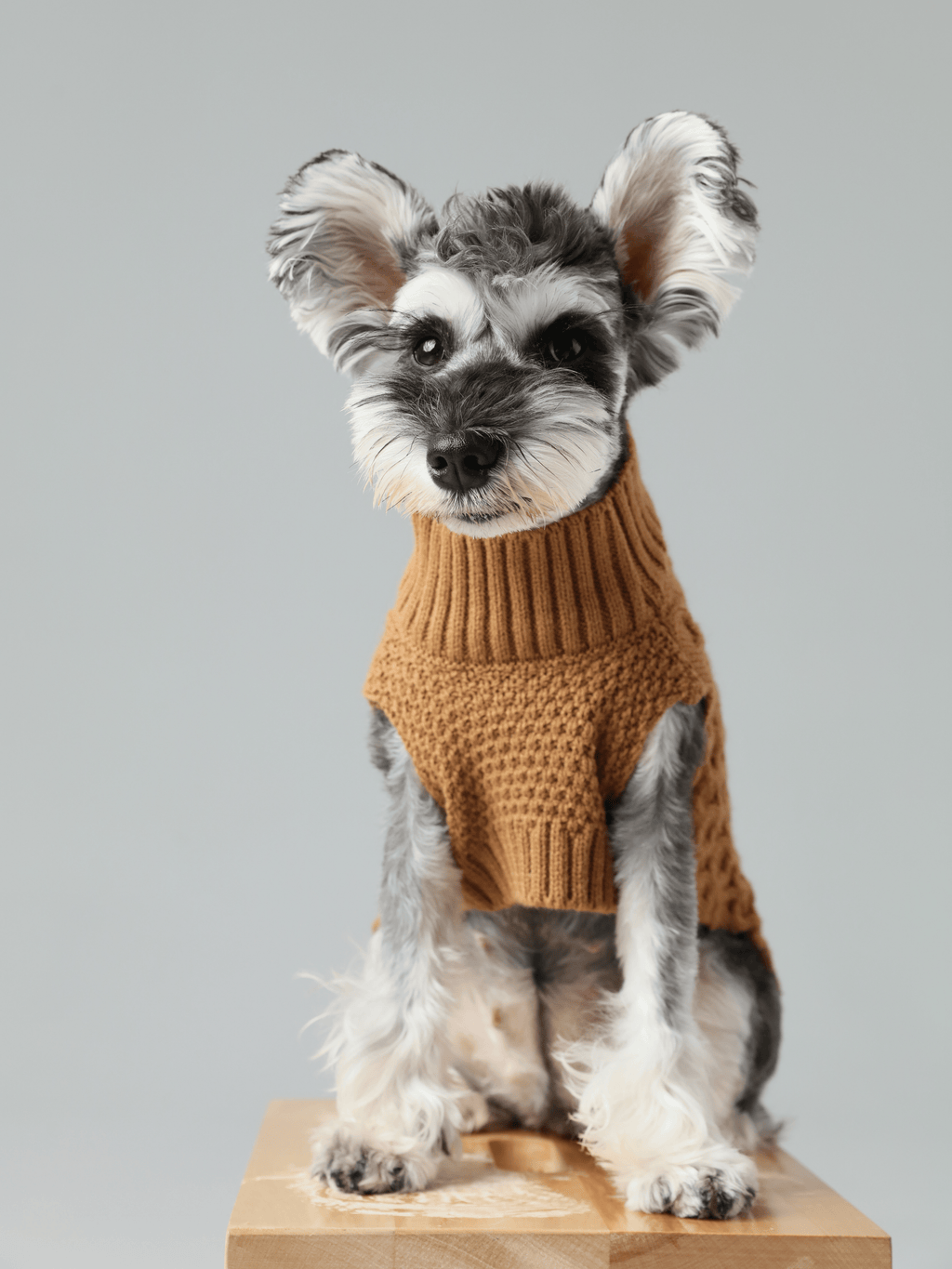 Pehom | Pet Sweater Vest - Toffee Orange