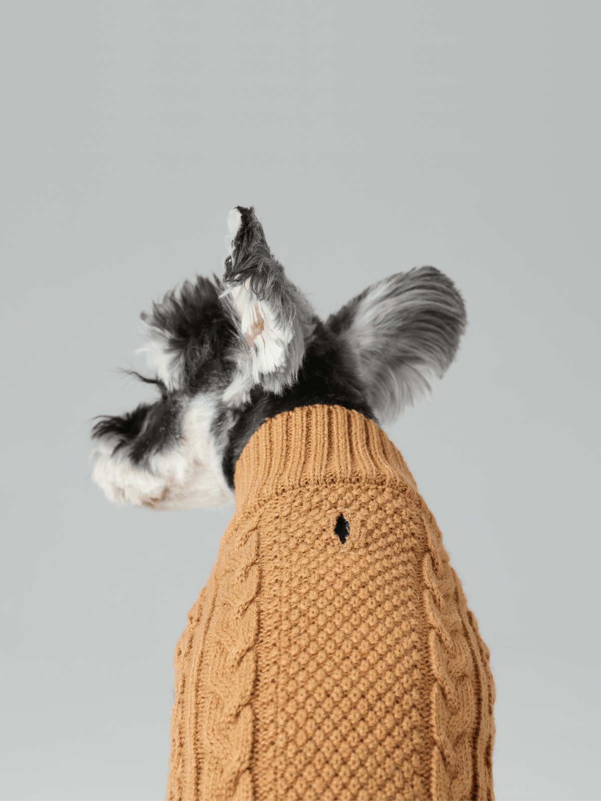 Pehom | Pet Sweater Vest - Toffee Orange