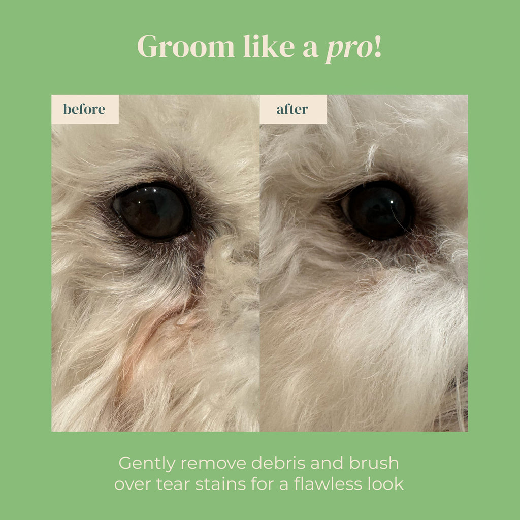 BRUSH ON ME Pet Facial & Eye Comb