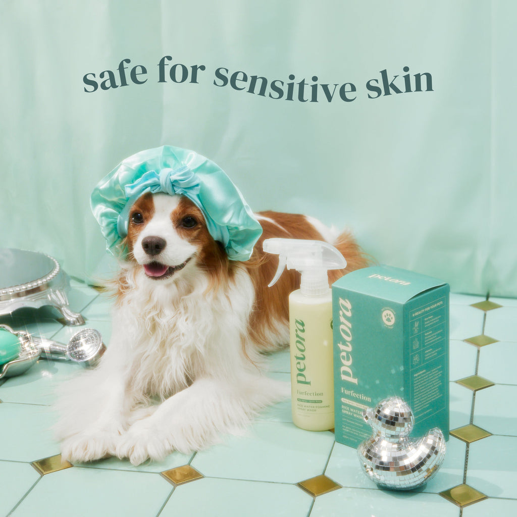 FURFECTION Rice Water Paw & Facial Shampoo