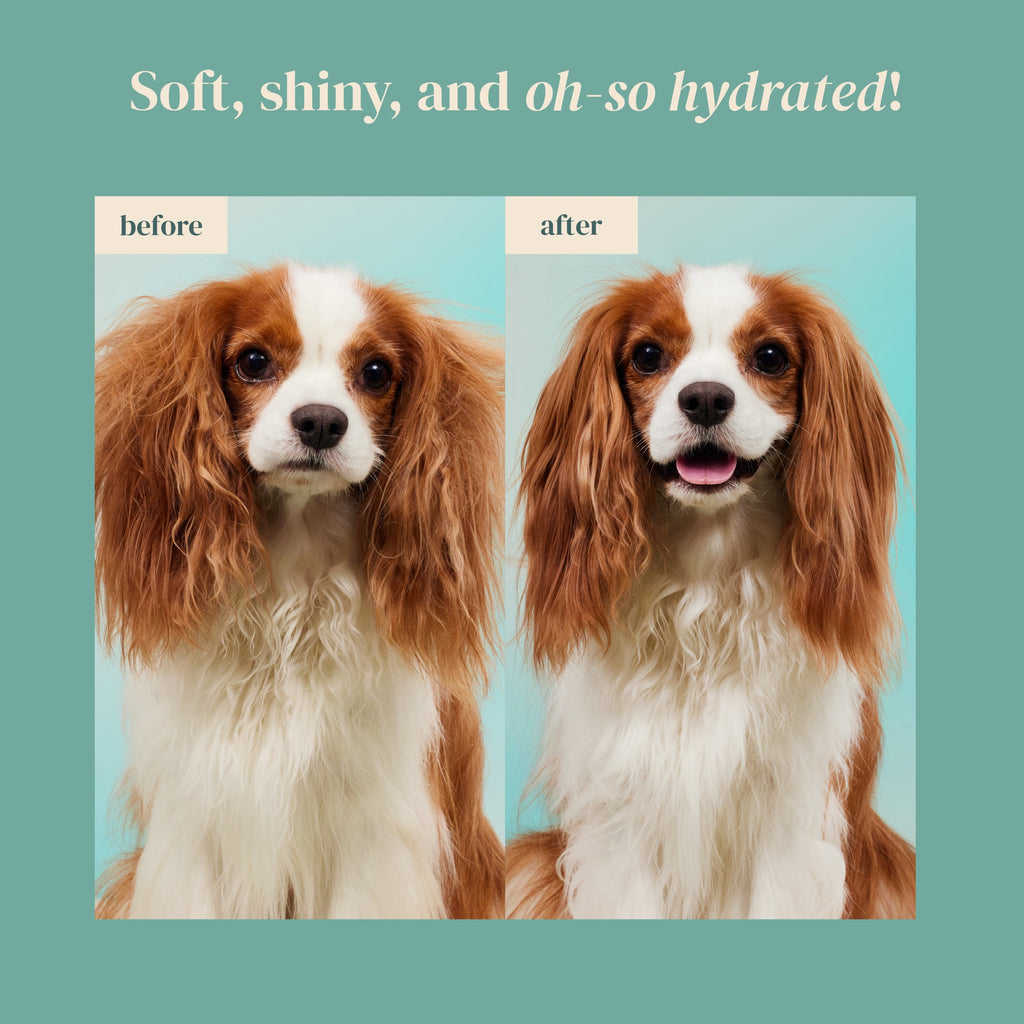 FURFECTION Rice Water Paw & Facial Shampoo