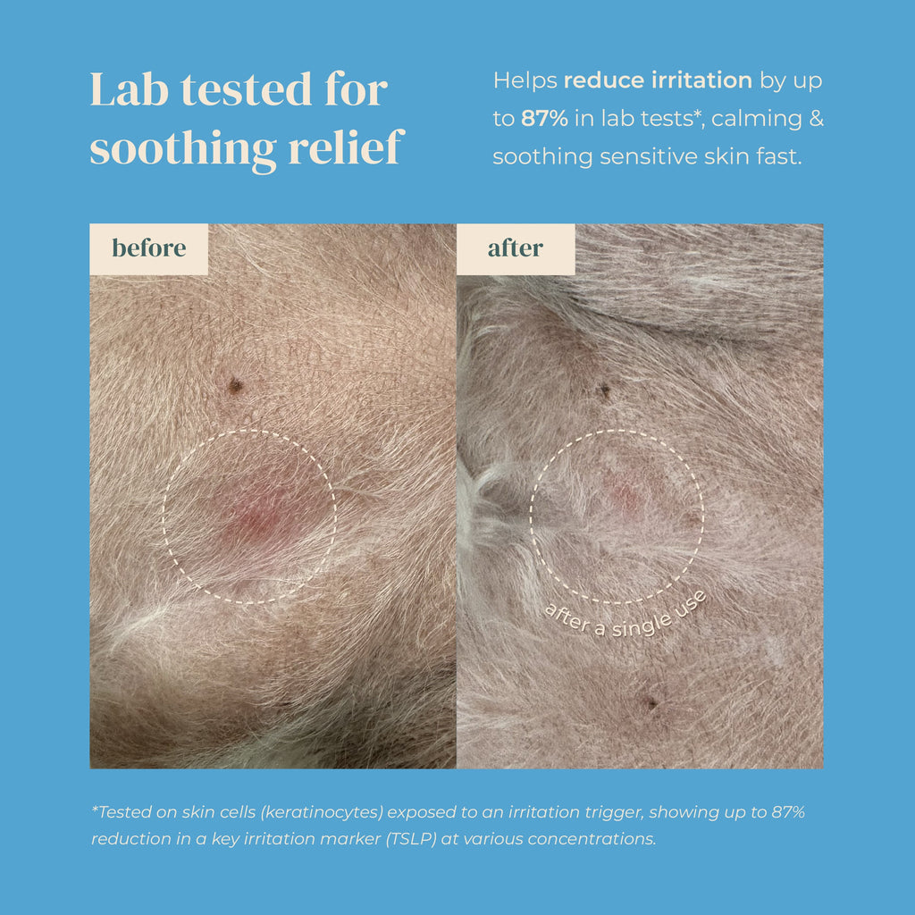 PAWFECT COMFORT Nose-to-Tail Soothing Jelly Serum