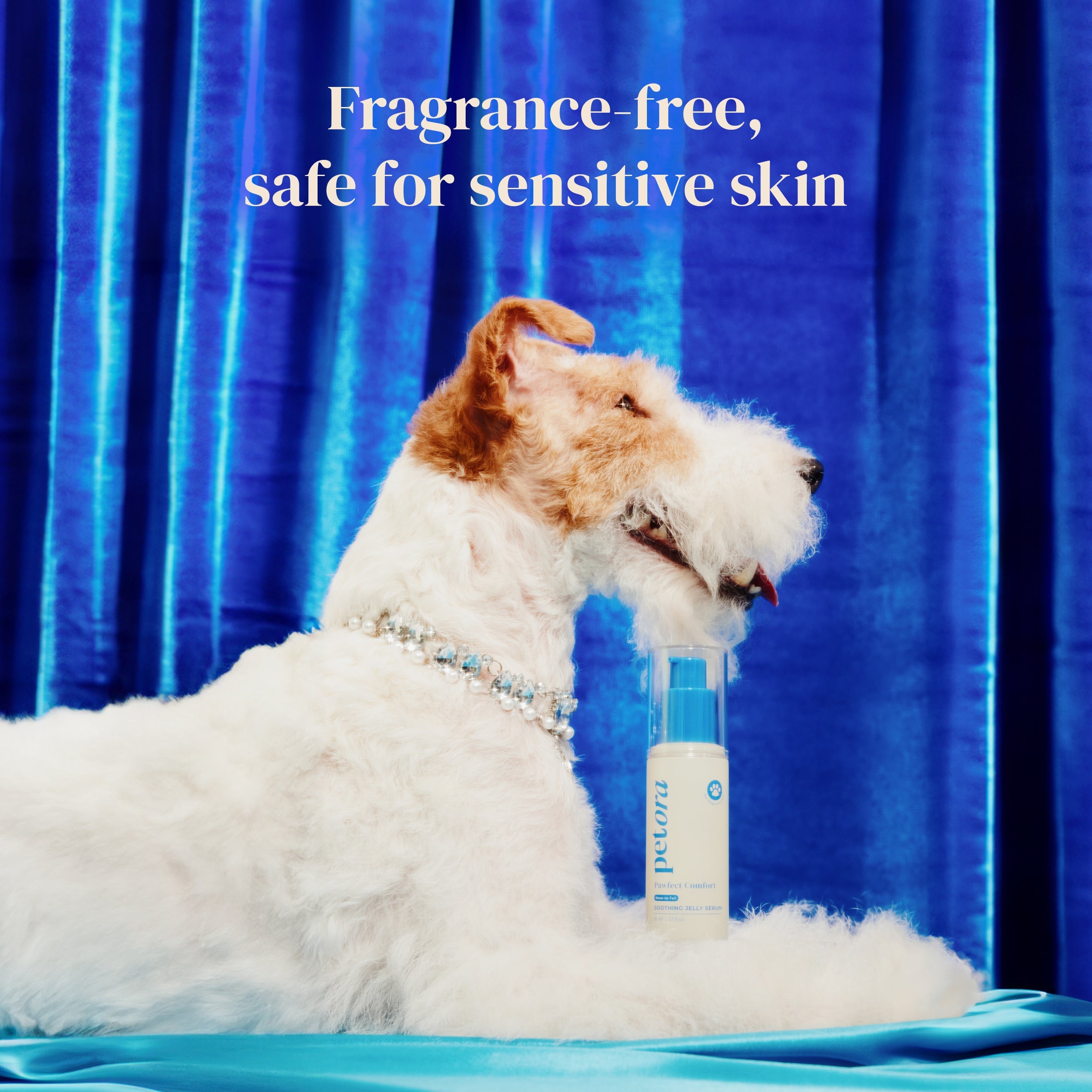 PAWFECT COMFORT Nose-to-Tail Soothing Jelly Serum