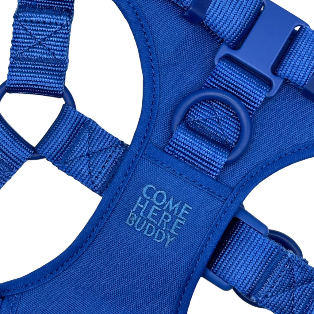 Come Here Buddy Step In Dog Harness