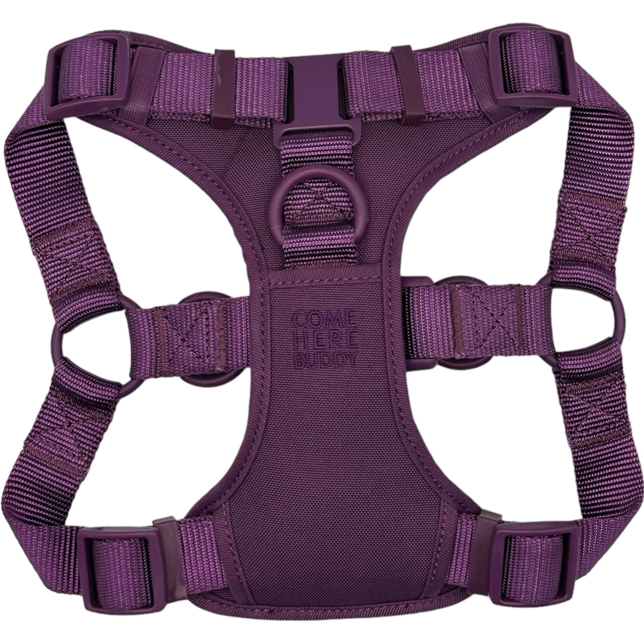 Come Here Buddy Step In Dog Harness