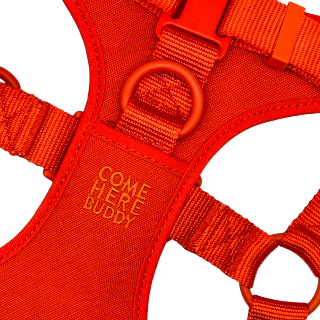 Come Here Buddy Step In Dog Harness