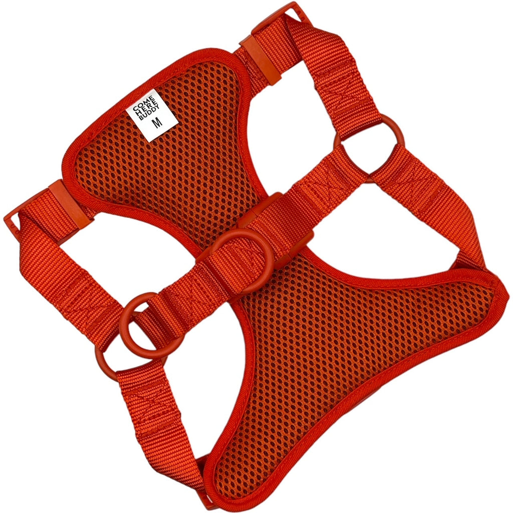 Come Here Buddy Step In Dog Harness