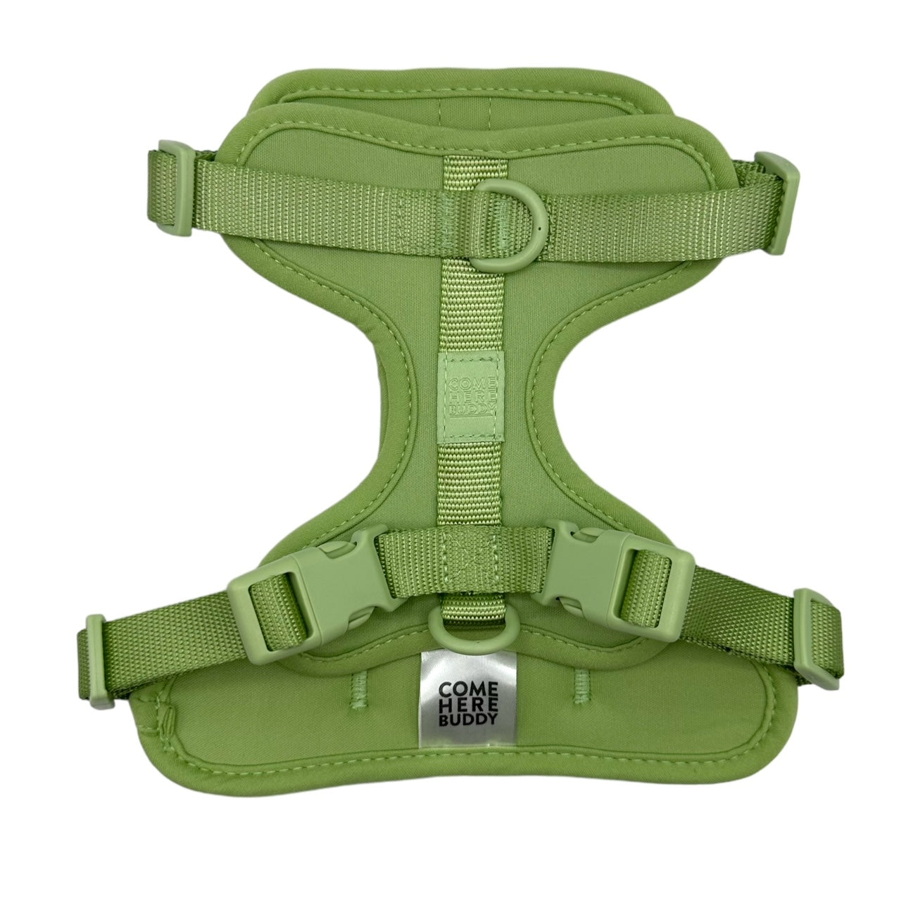 Come Here Buddy Harness