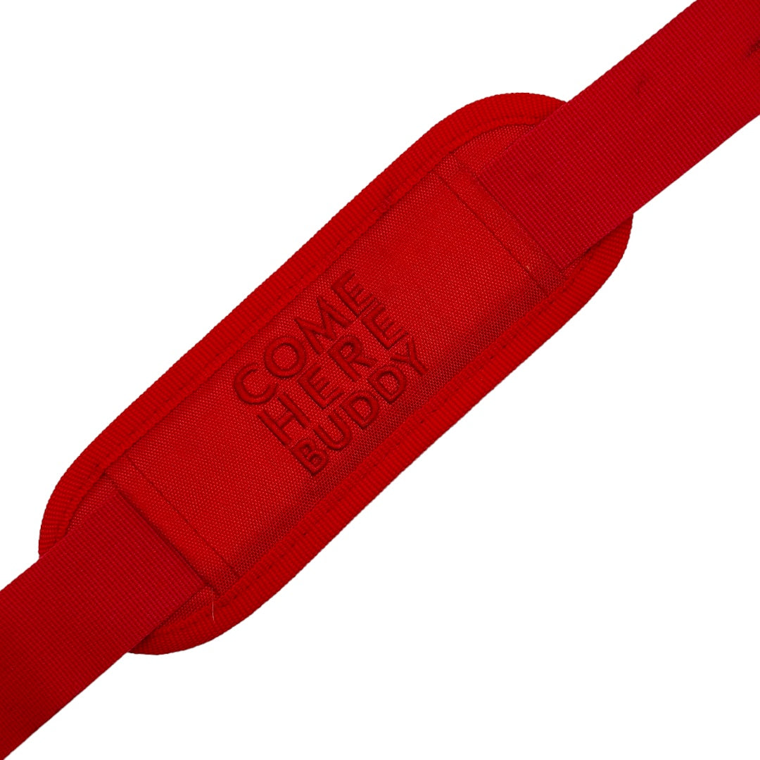 Travel Buddy - Pet Carrier