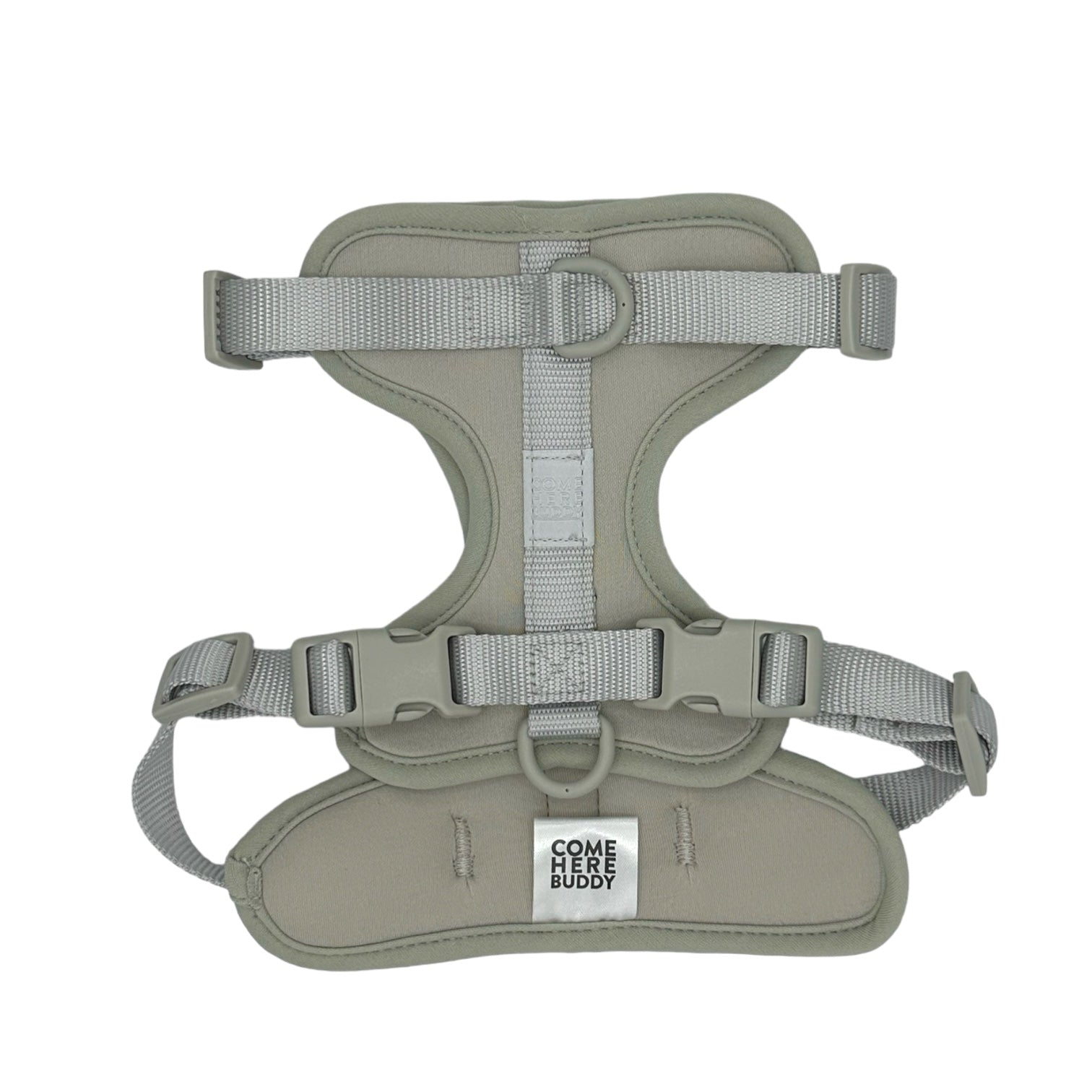 Come Here Buddy Harness
