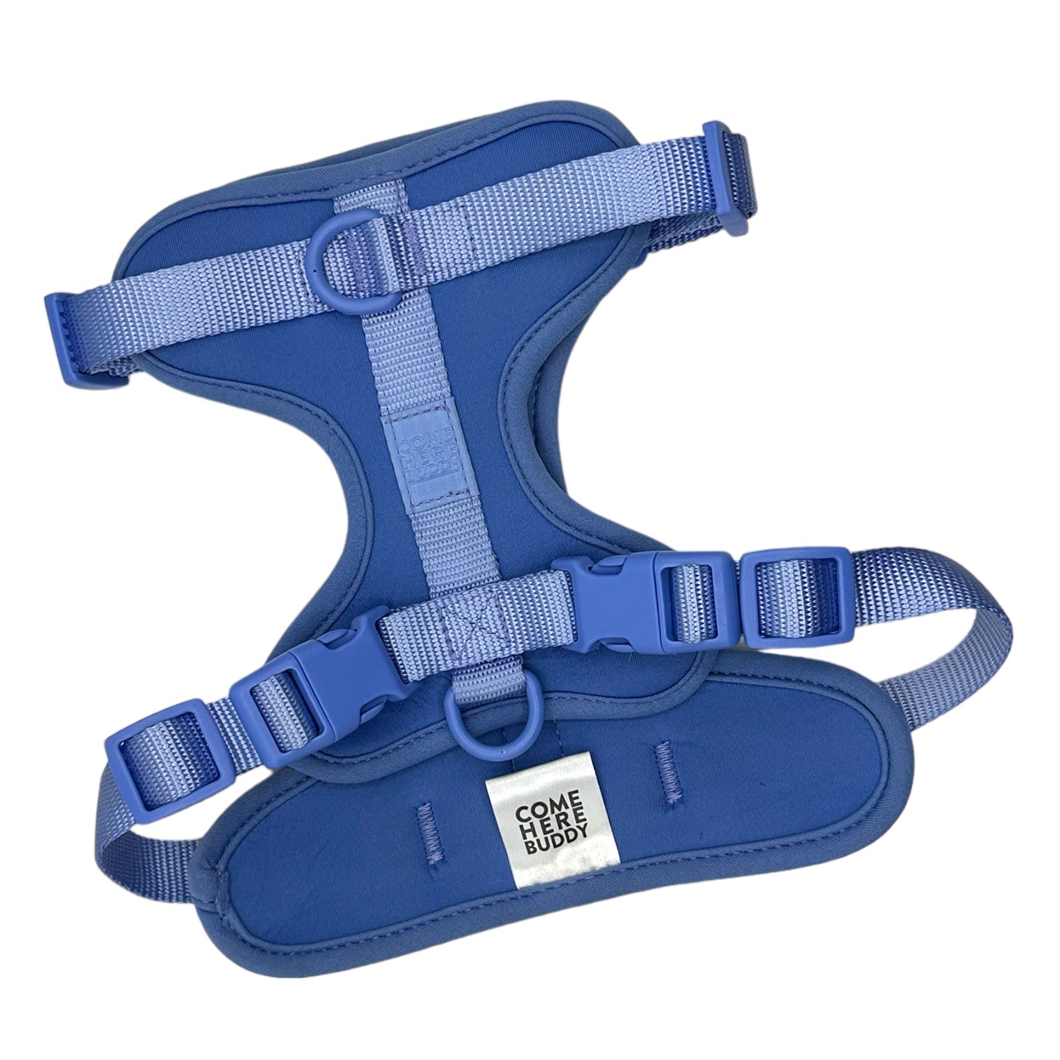 Come Here Buddy Harness