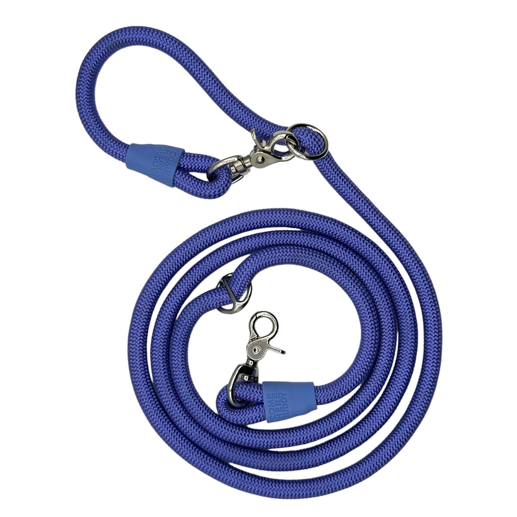 Come Here Buddy Kismet Dog Leash