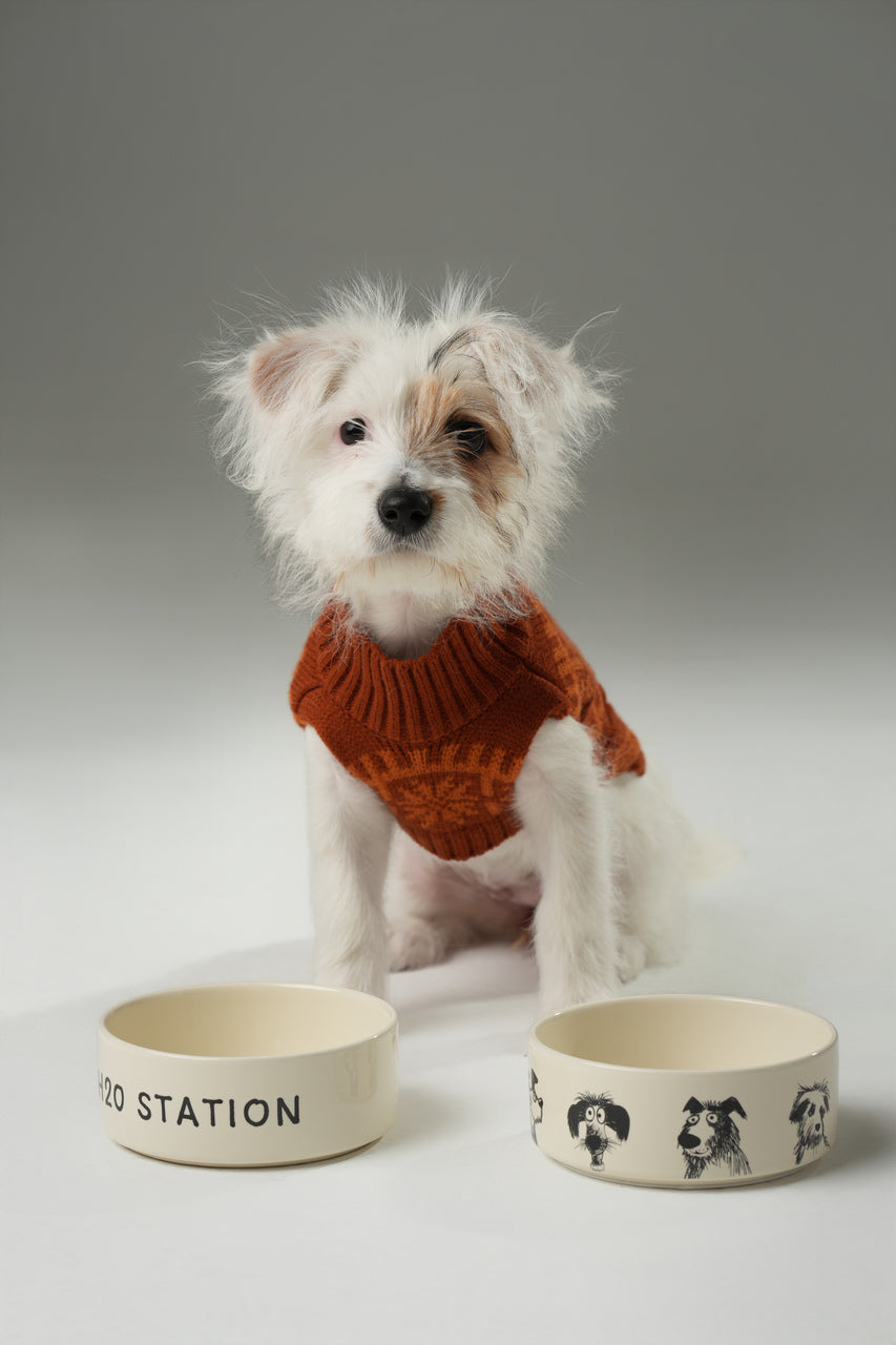 Pehom | Derpy Bowl