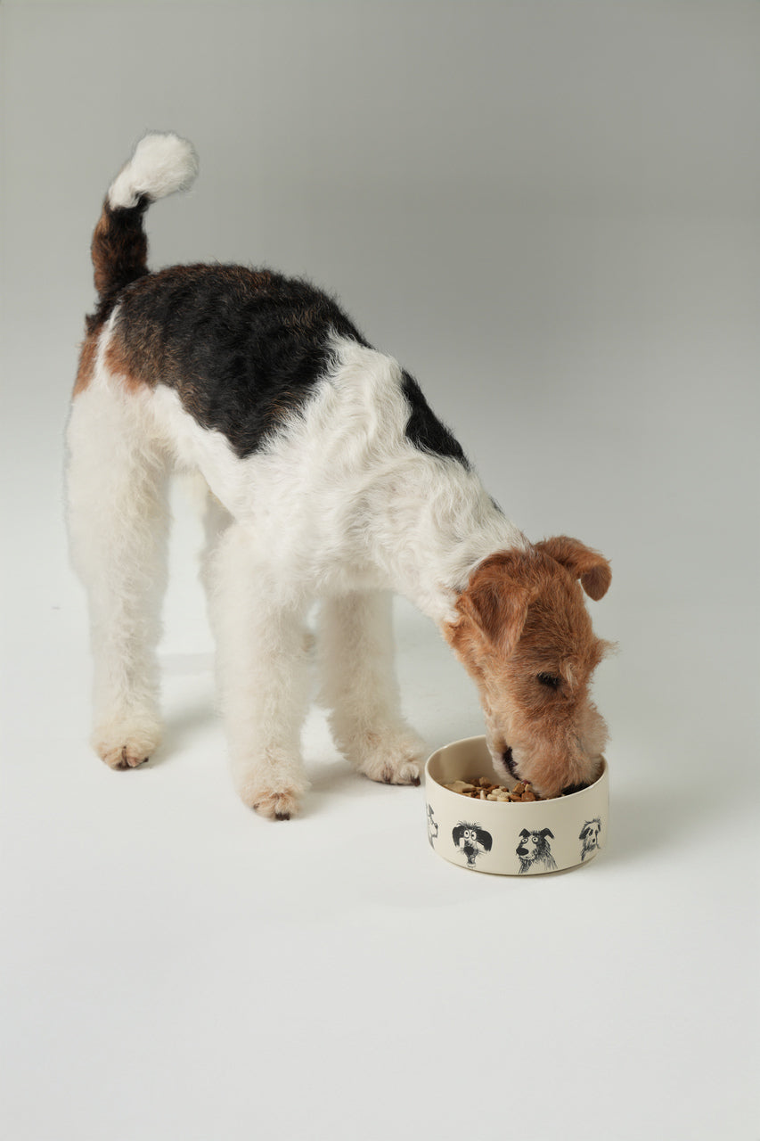 Pehom | Derpy Bowl