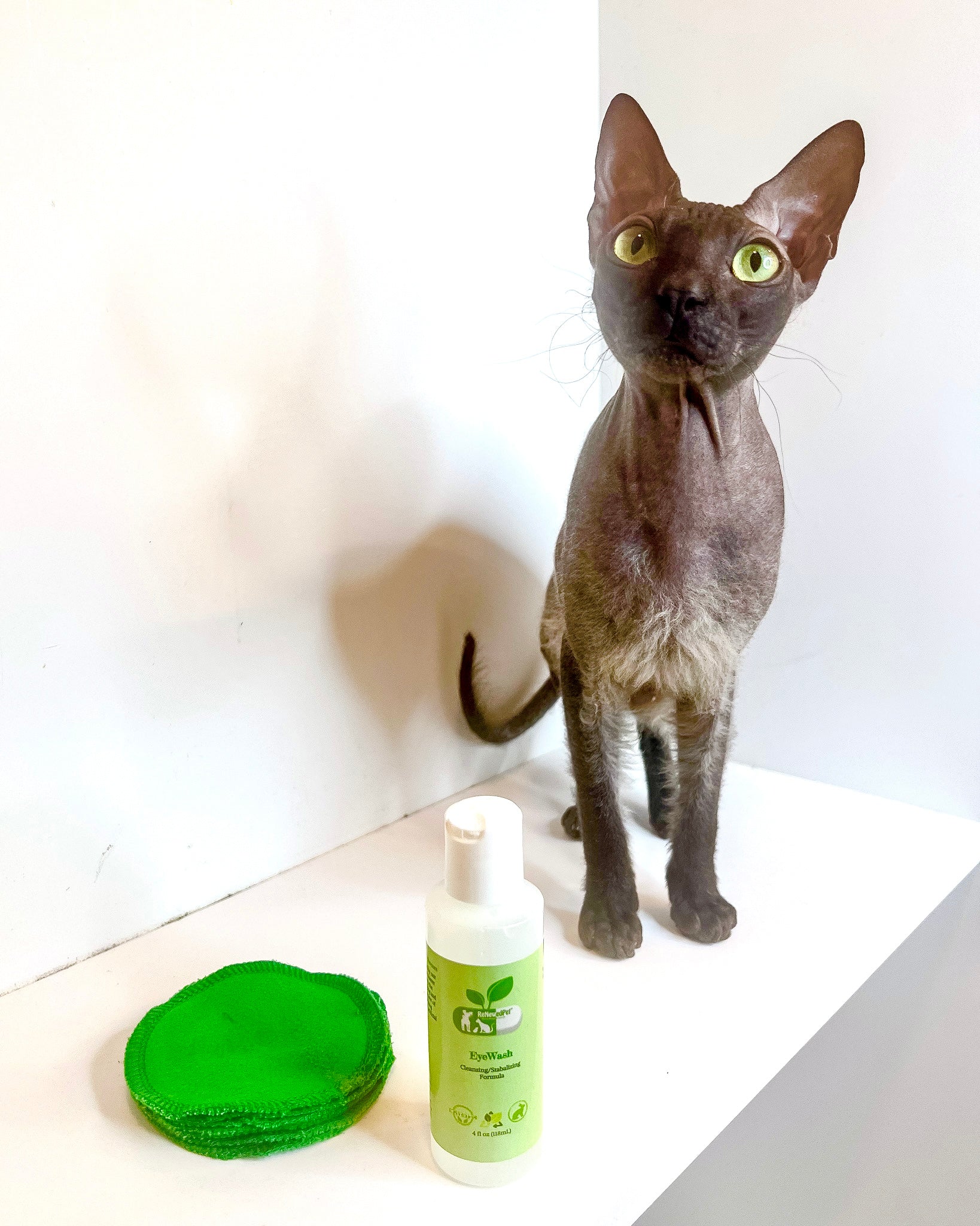 ReNewedPet® Pet Eyewash
