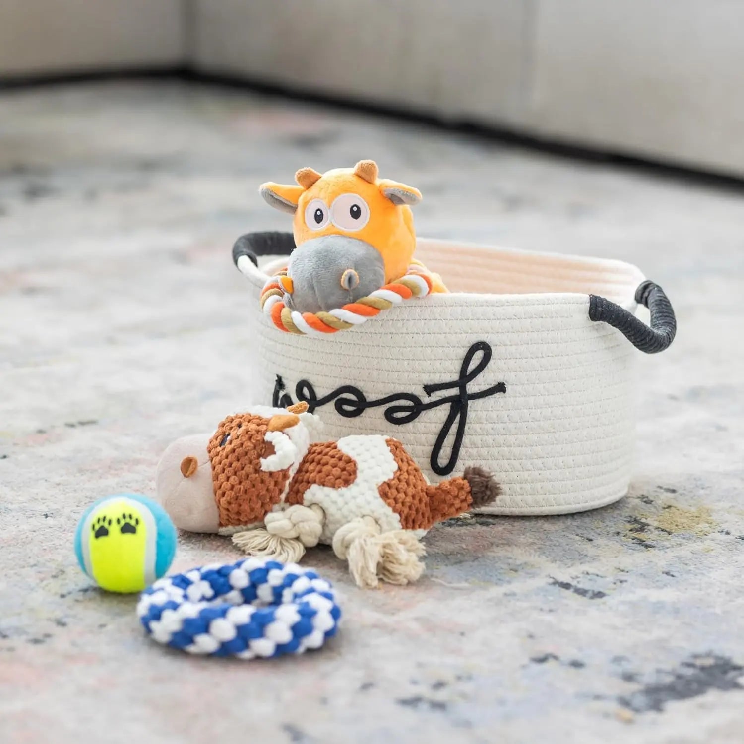 Puppy Gift Basket – Dog Starter Kit & Birthday Toy Set