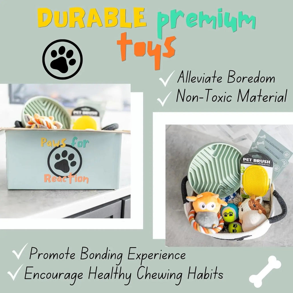 Puppy Gift Basket – Dog Starter Kit & Birthday Toy Set