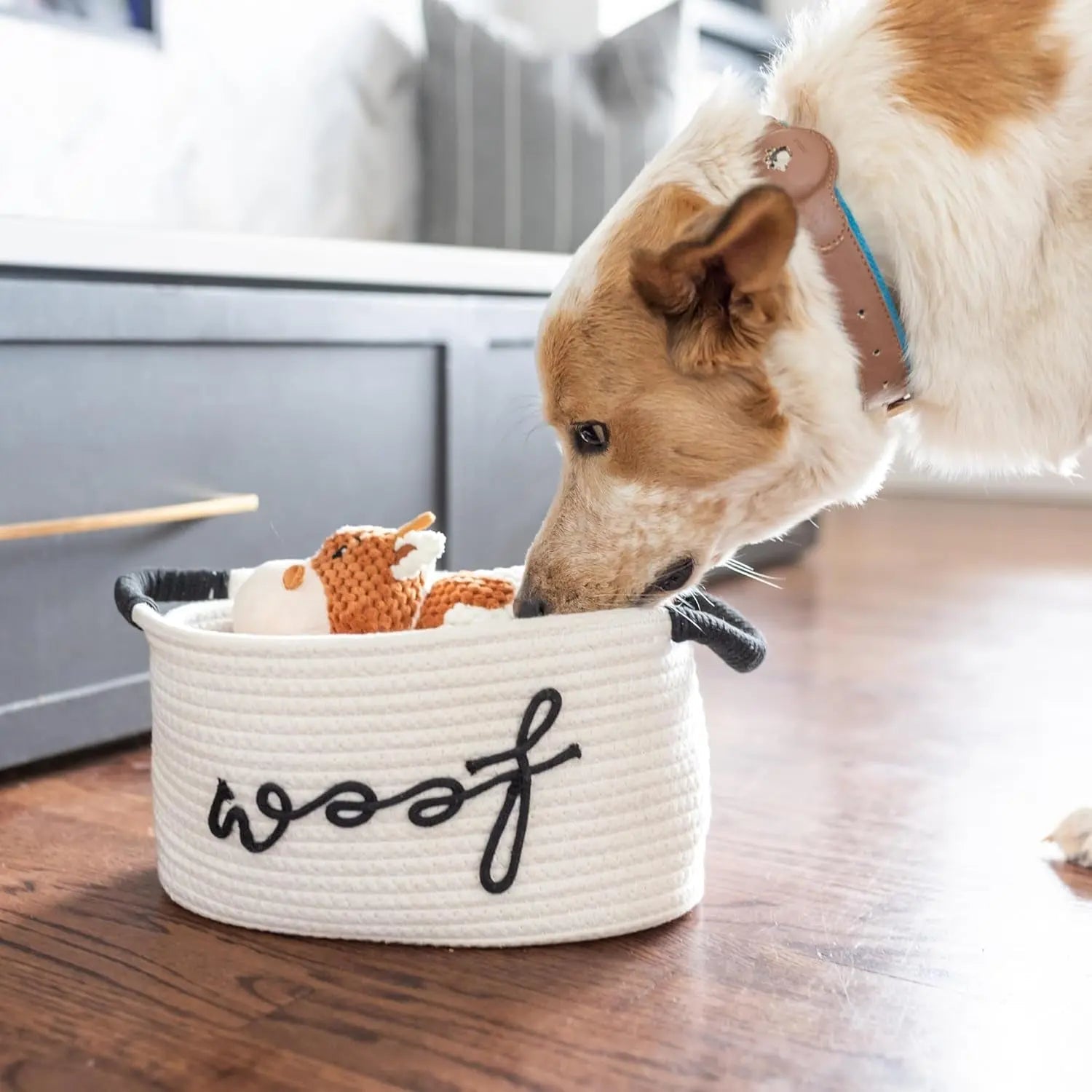 Puppy Gift Basket – Dog Starter Kit & Birthday Toy Set