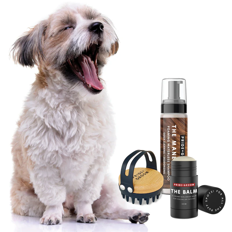 PRIDE + GROOM - The Grooming Tool Kit