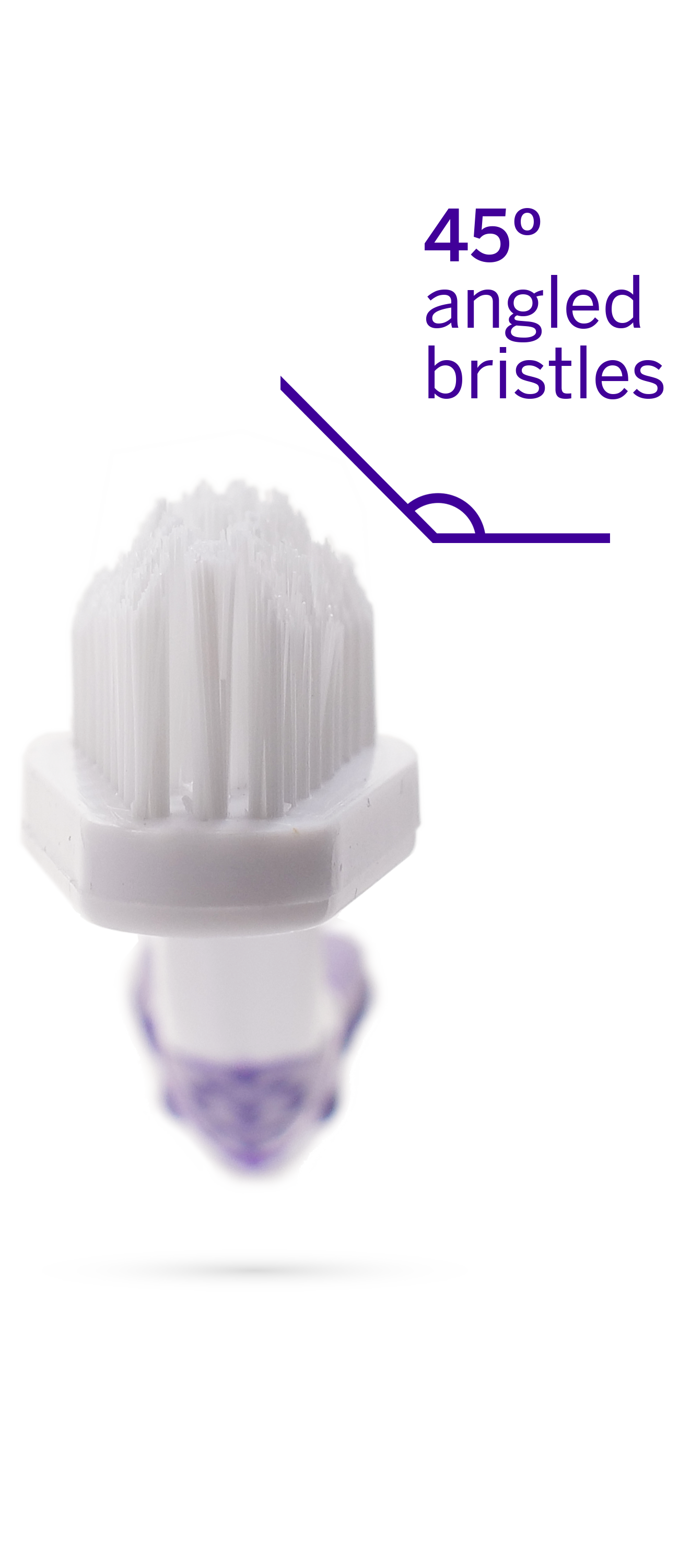 Professional Toothpaste Rotisserie Chicken Small & Professional Pet Toothbrush