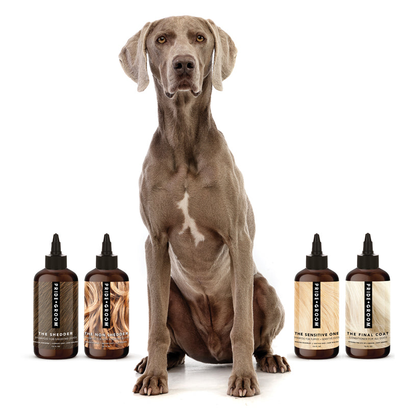PRIDE + GROOM The Wash Sample Pack Shampoo and Conditioner