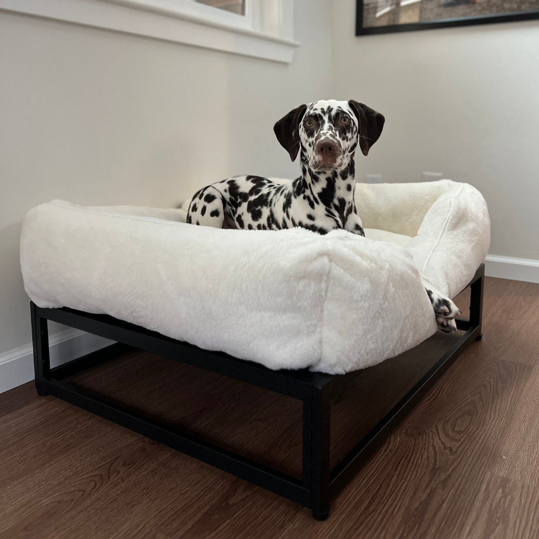 The FÜZI Pet Bed