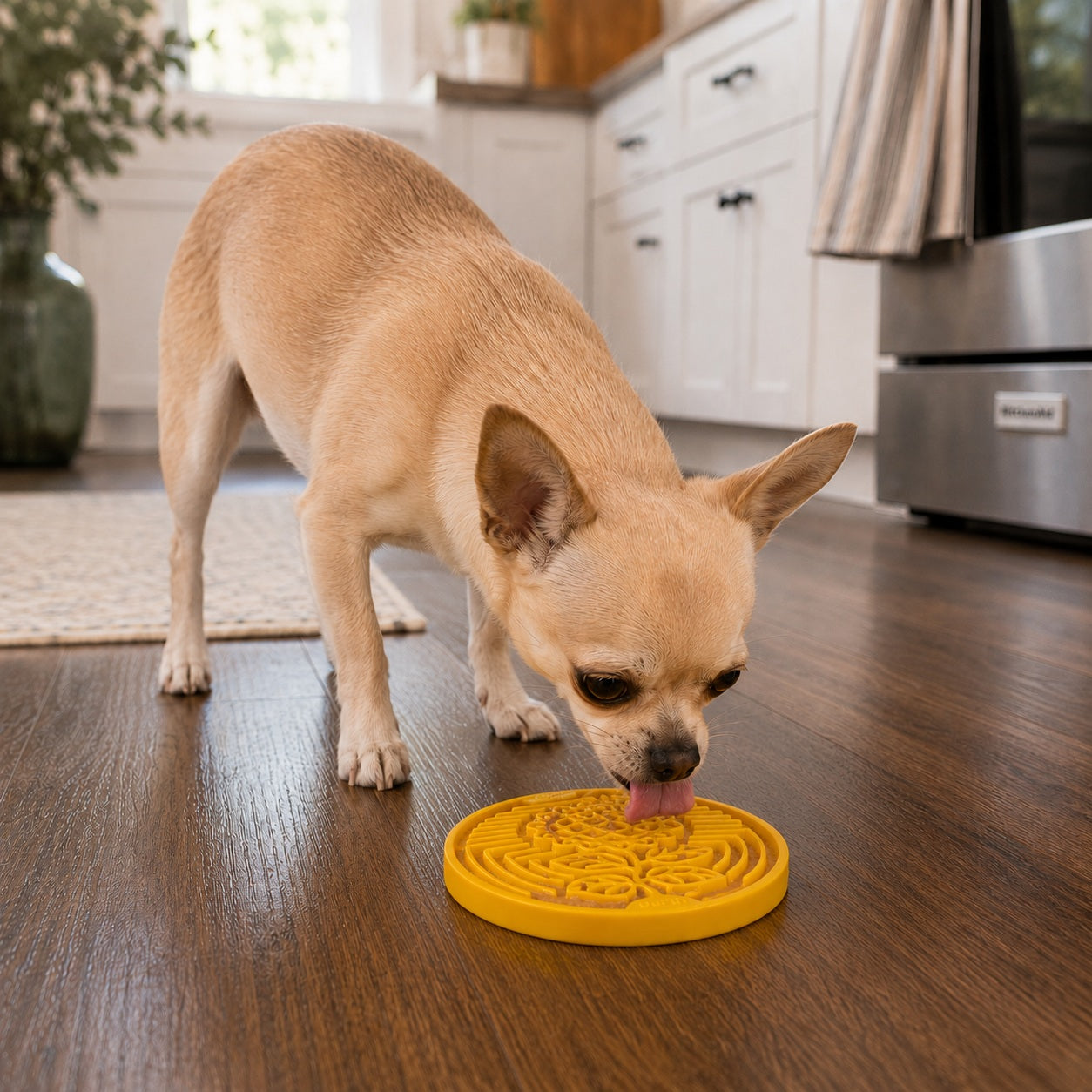 SodaPup® Earth eCOIN | Durable Nylon Lick & Chew Enrichment Toy for Dogs