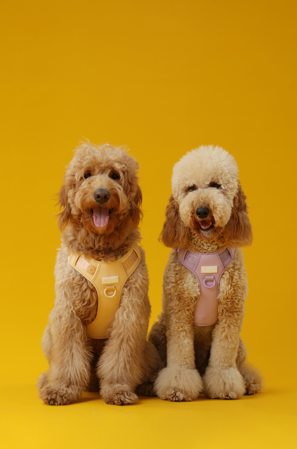 Pehom | No Pull Active Pet Harness - Apricot